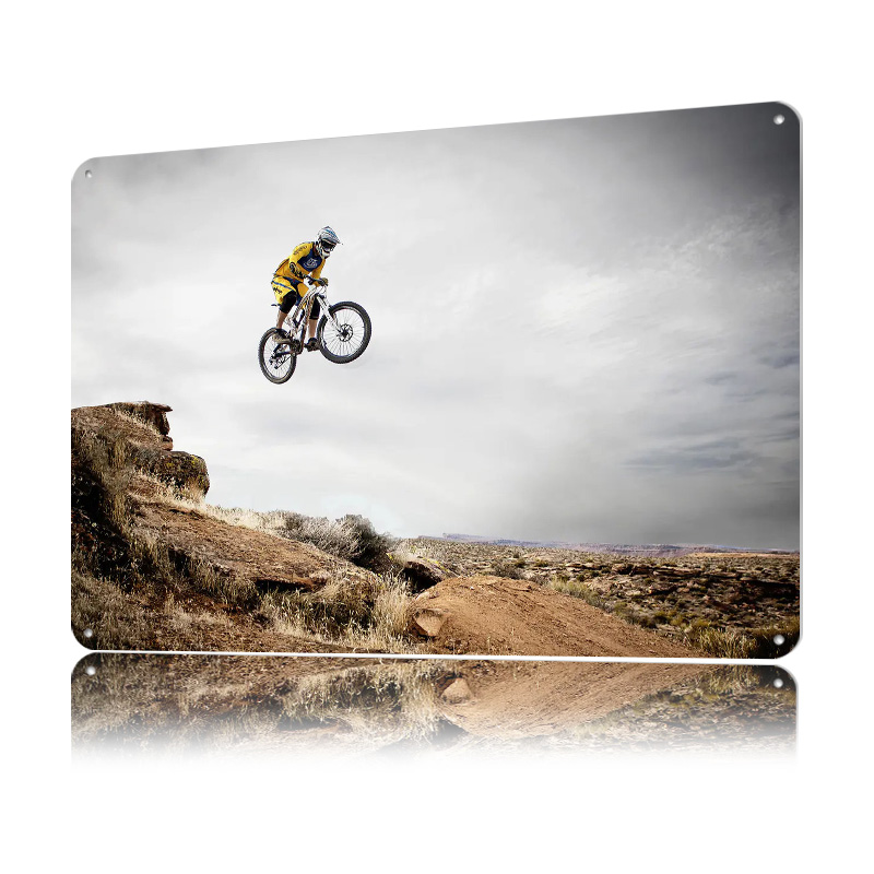 Mountain Bike Lightly 3D Tin P - Mountain Biking Europe review and price